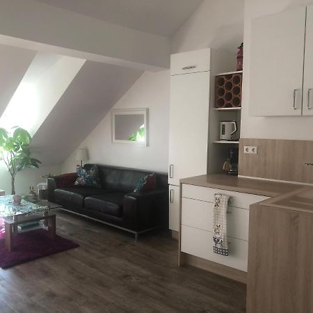 Old Bridge View Apartment Хайделберг Екстериор снимка
