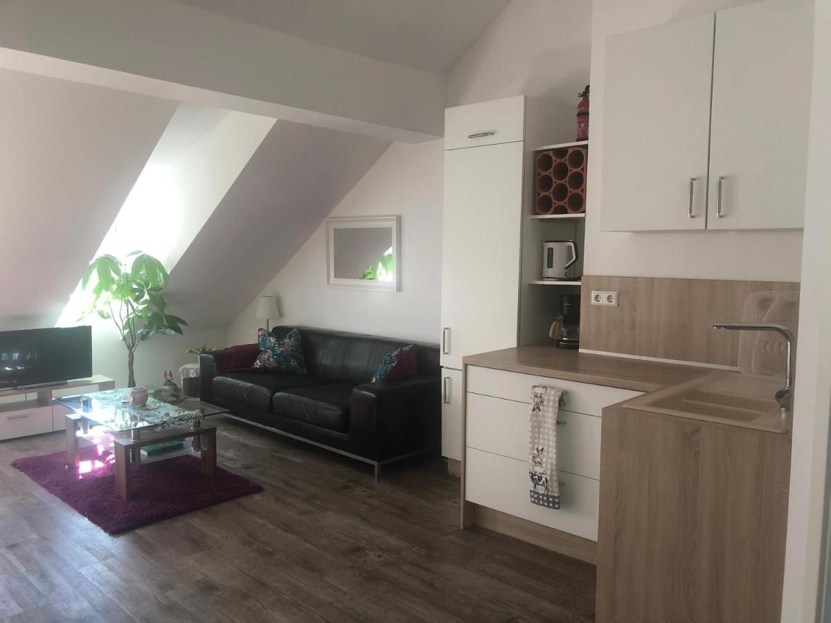 Old Bridge View Apartment Хайделберг Екстериор снимка