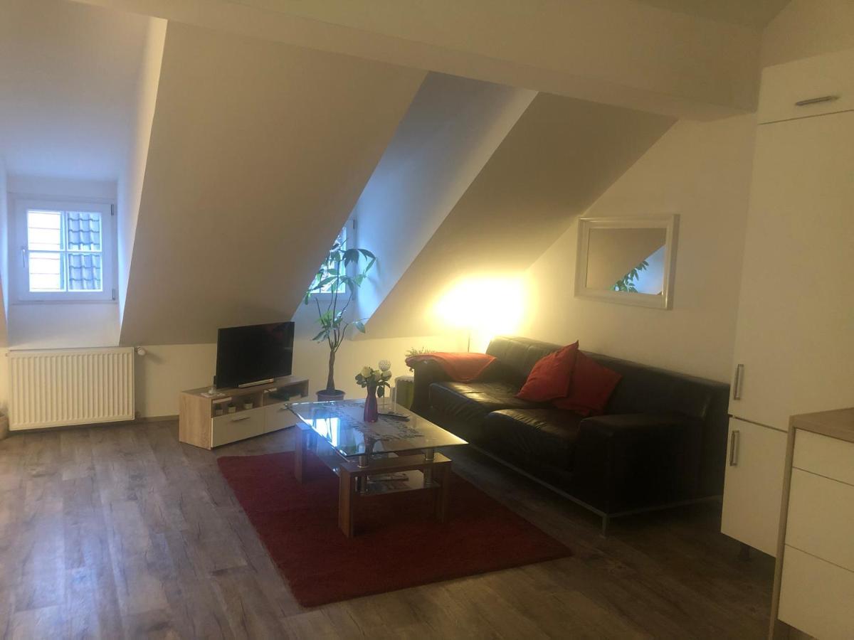 Old Bridge View Apartment Хайделберг Екстериор снимка