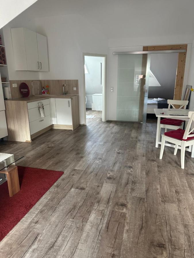 Old Bridge View Apartment Хайделберг Екстериор снимка